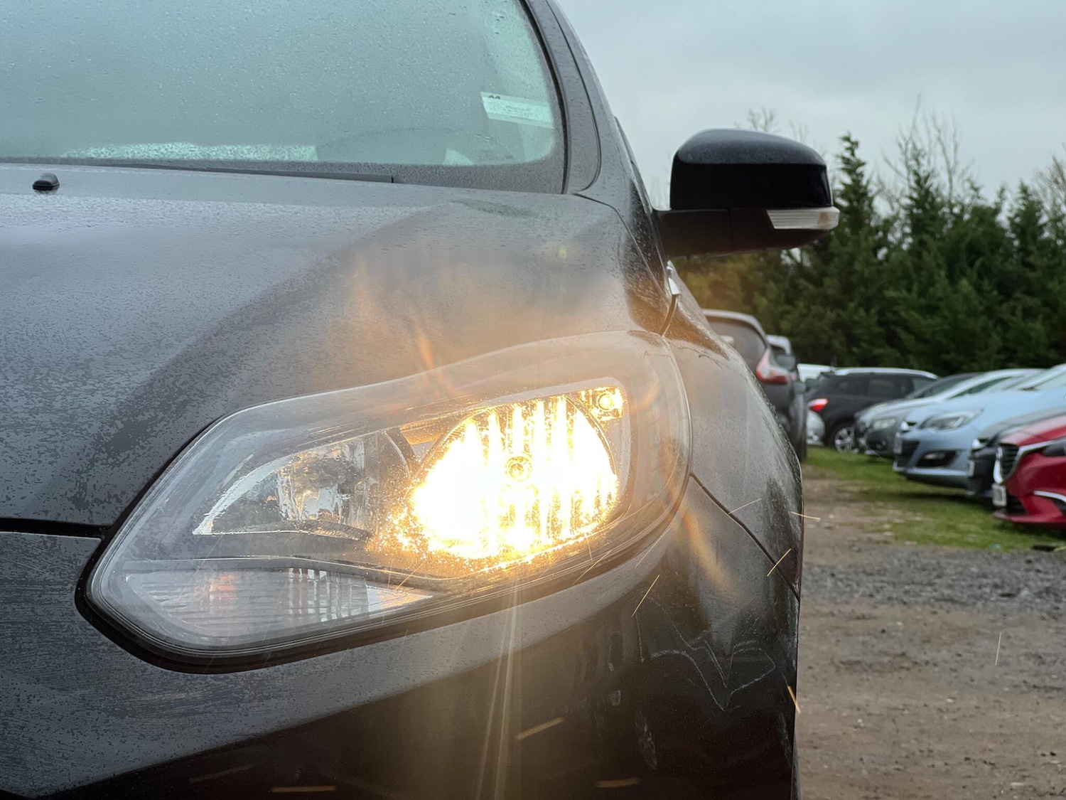 Used Ford Focus 2014 for sale - 77883312: Photo 23