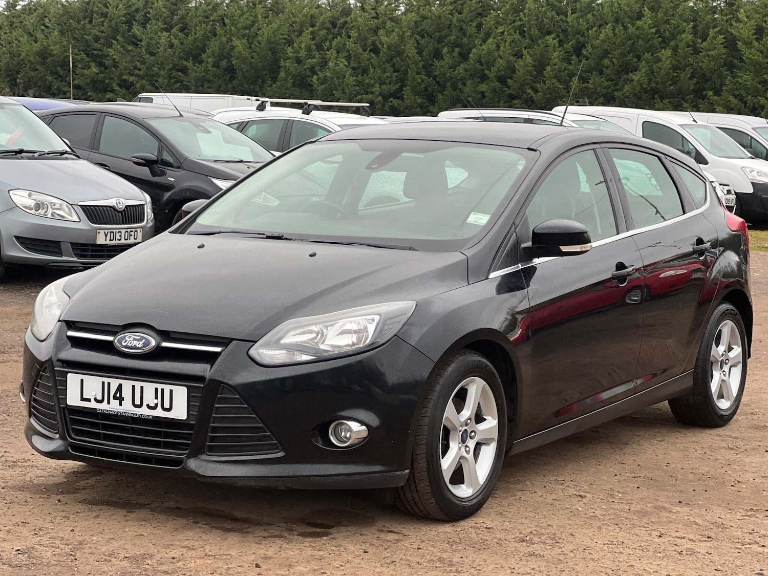 Used Ford Focus 2014 for sale - 77883312: Photo 3