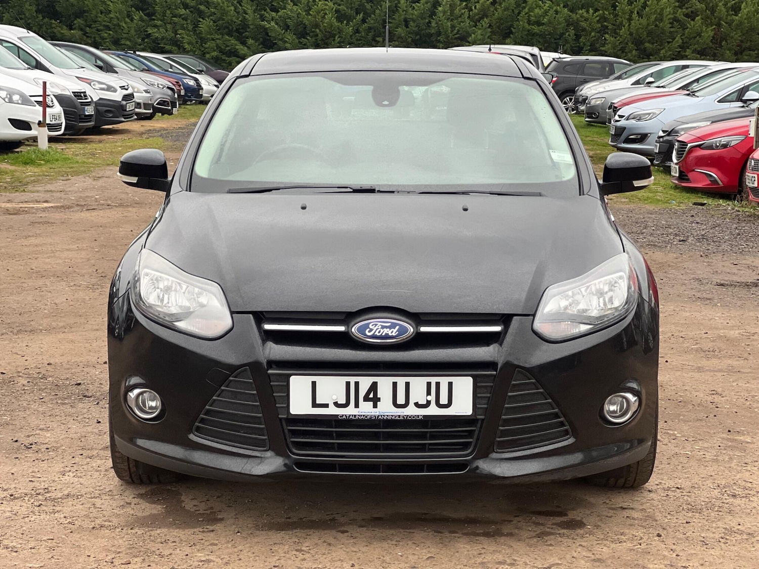 Used Ford Focus 2014 for sale - 77883312: Photo 4