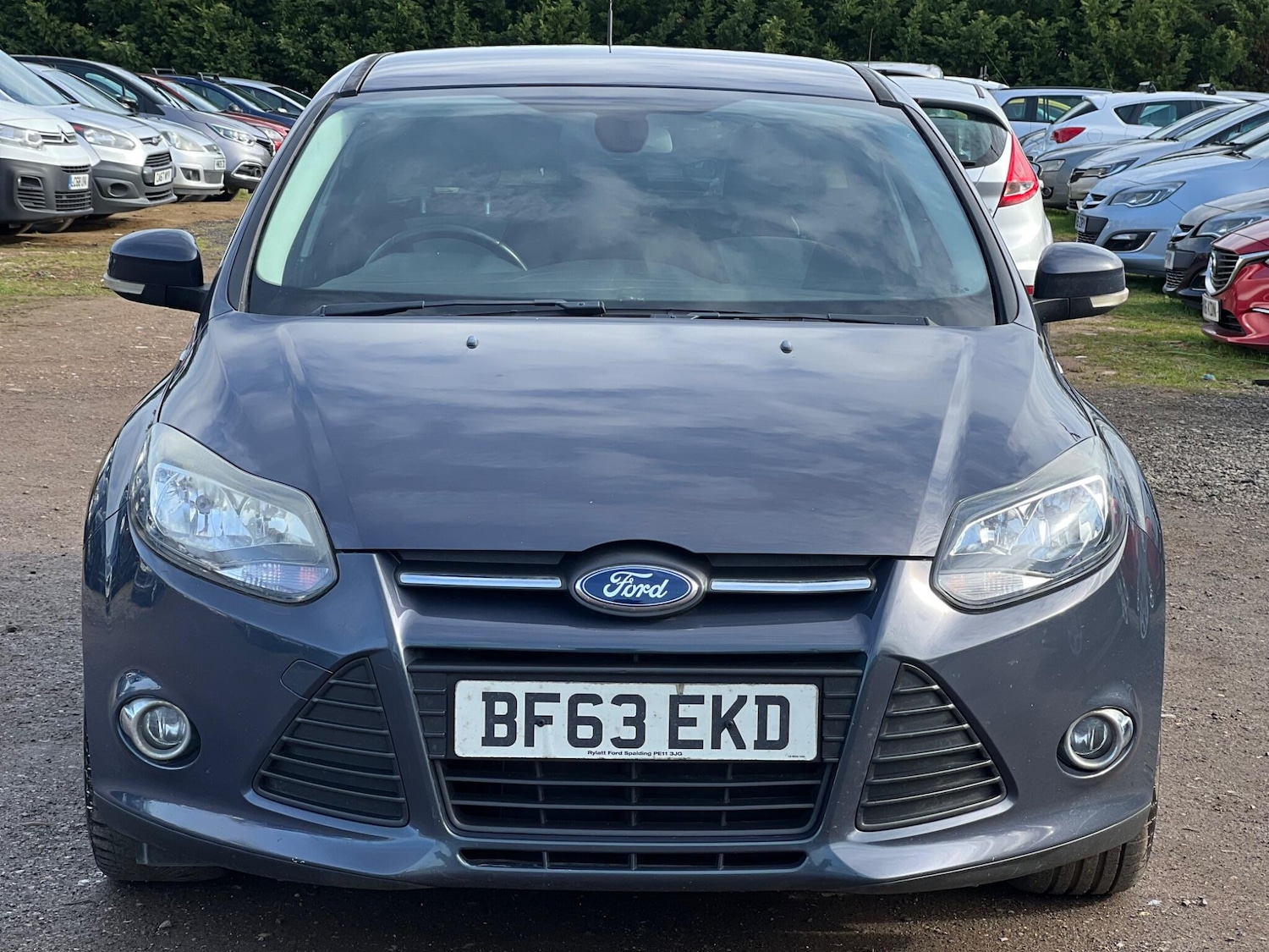 Used Ford Focus 2013 for sale - 77956959: Photo 5