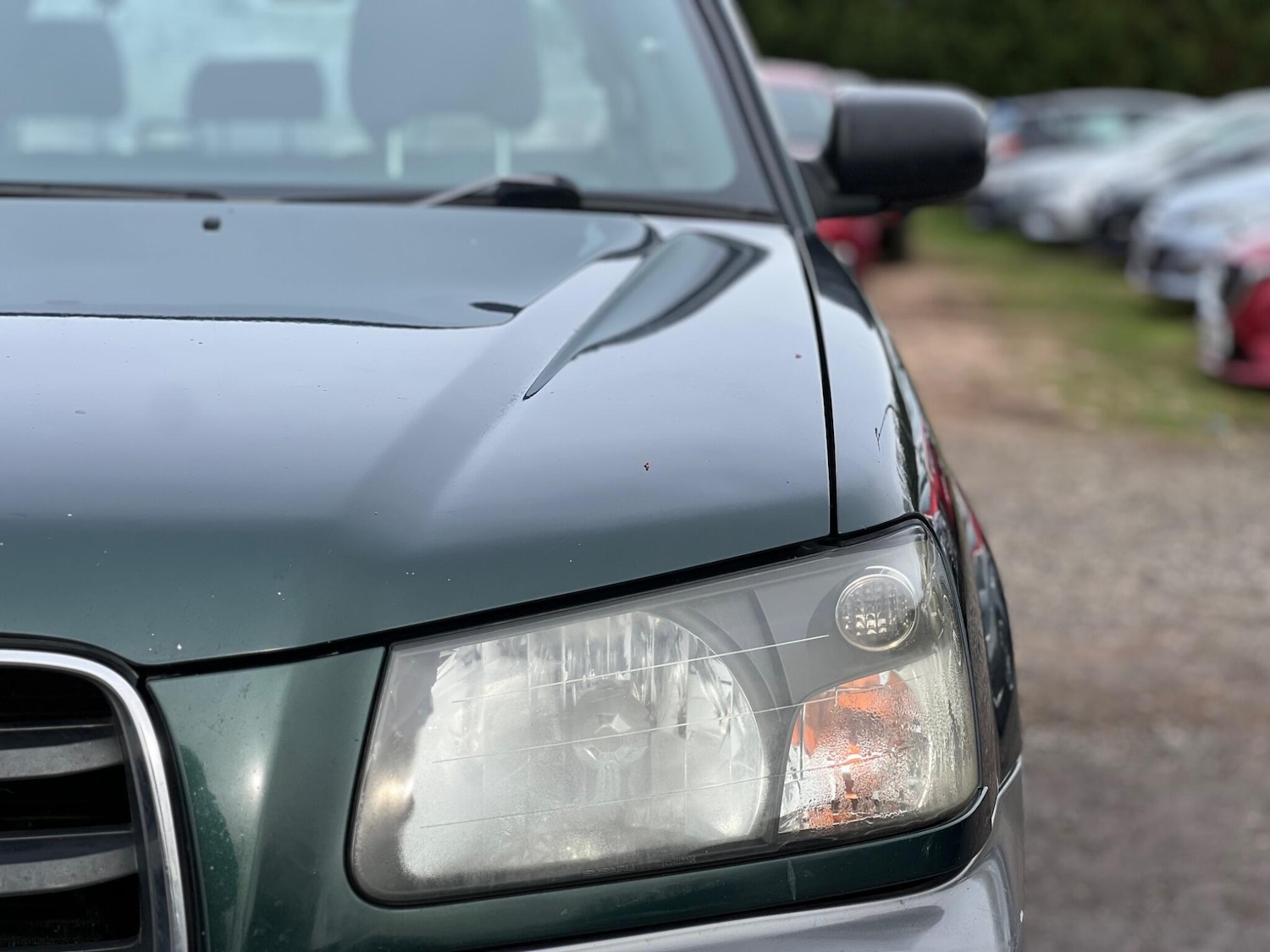 Used Subaru Forester 2004 for sale - 77626311: Photo 10