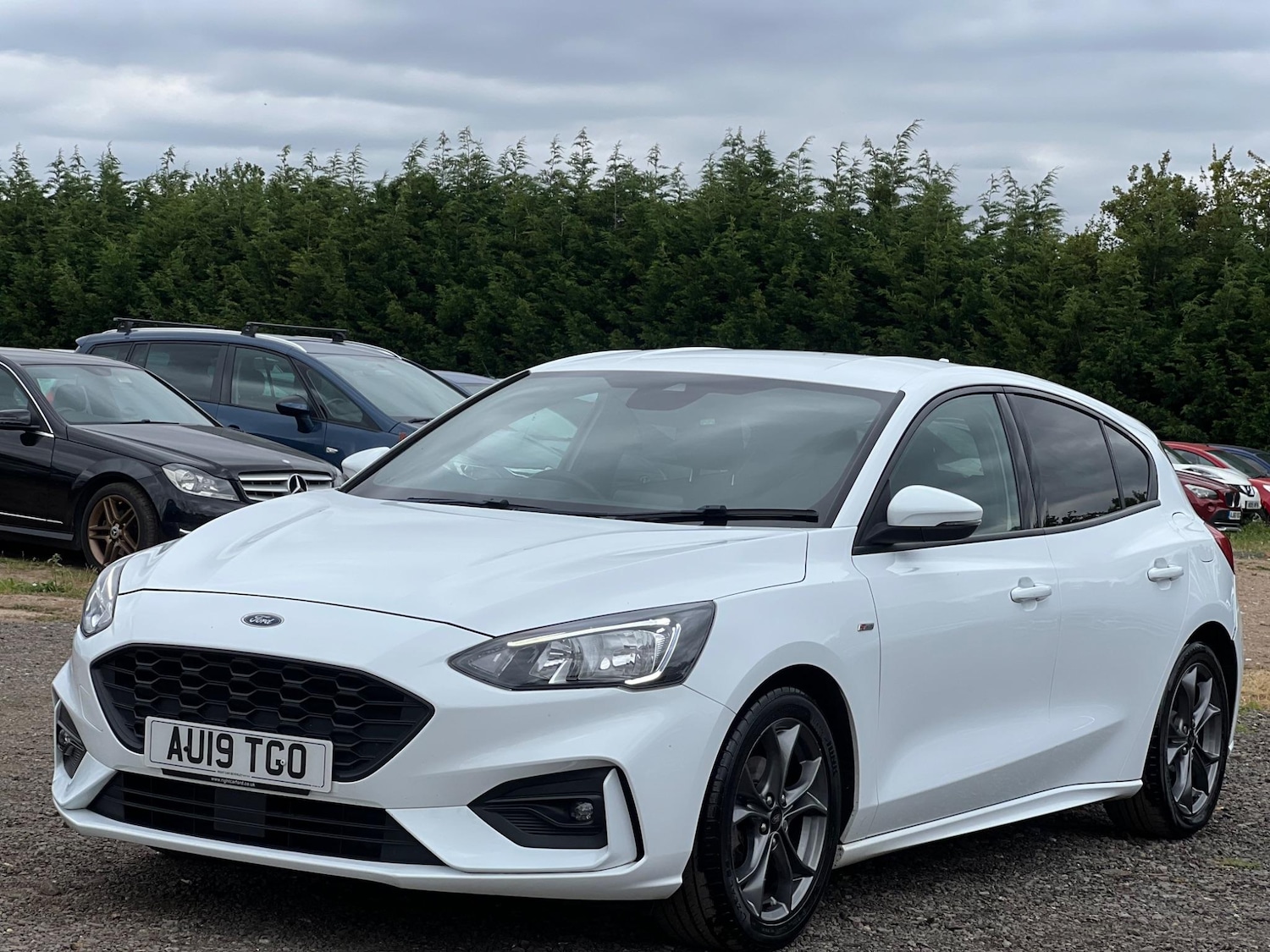 Used Ford Focus 2019 for sale - 77454717: Photo 3