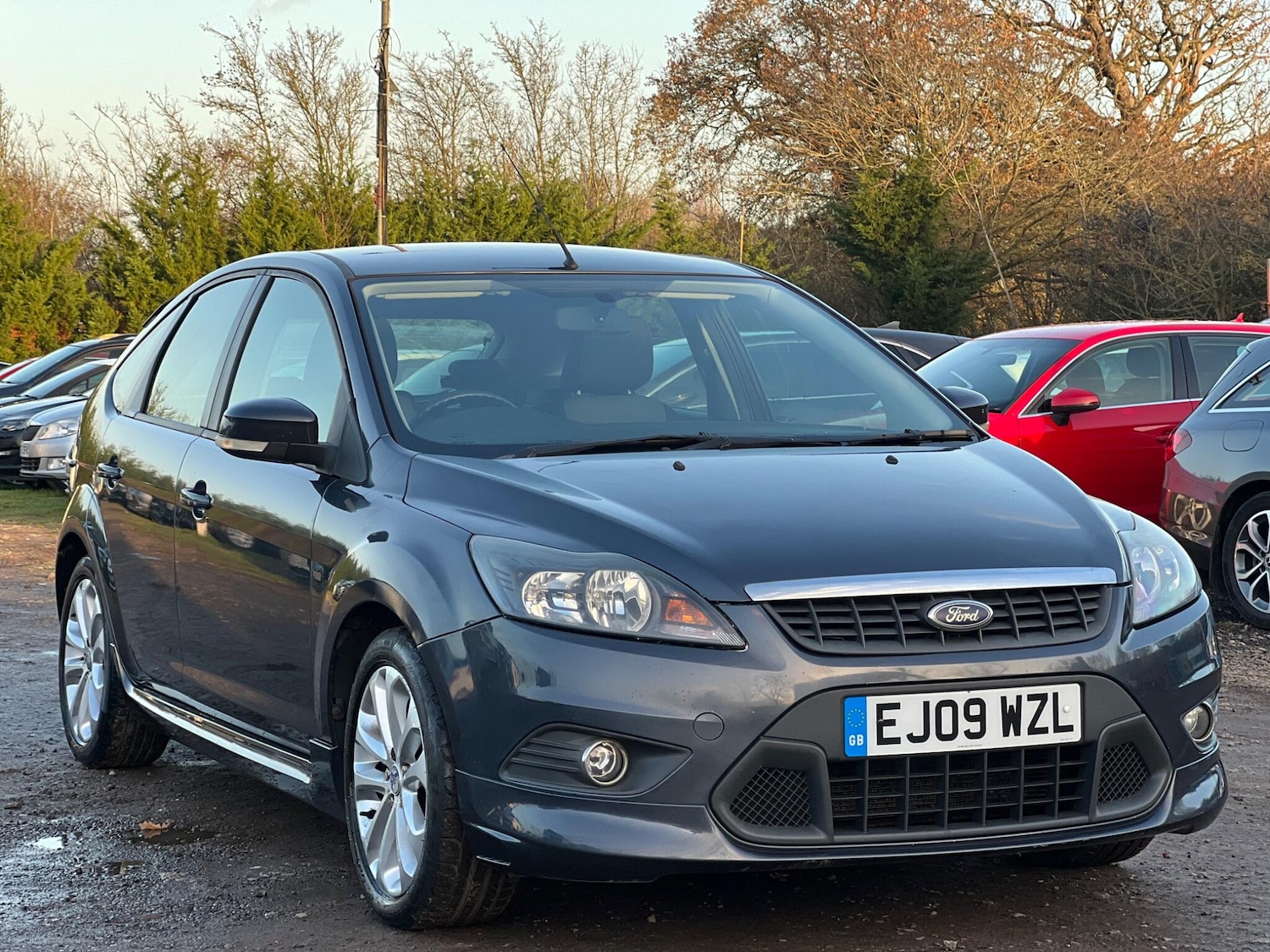 Used Ford Focus 2009 for sale - 77455790: Photo 2