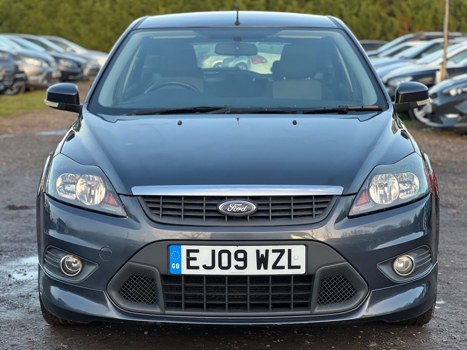 Used Ford Focus 2009 for sale - 77455790: Photo 3