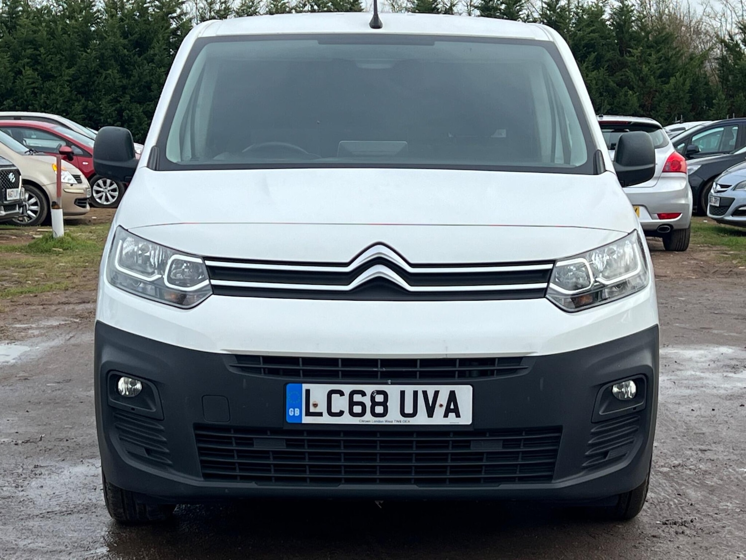 Used Citroen Berlingo 2019 for sale - 77637463: Photo 4
