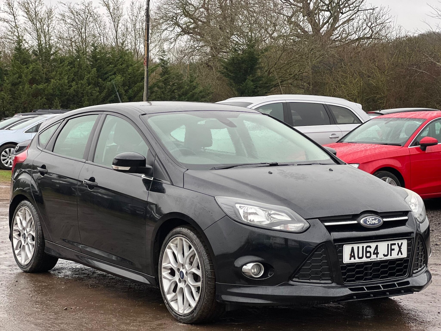 Used Ford Focus 2014 for sale - 77455184: Photo 2