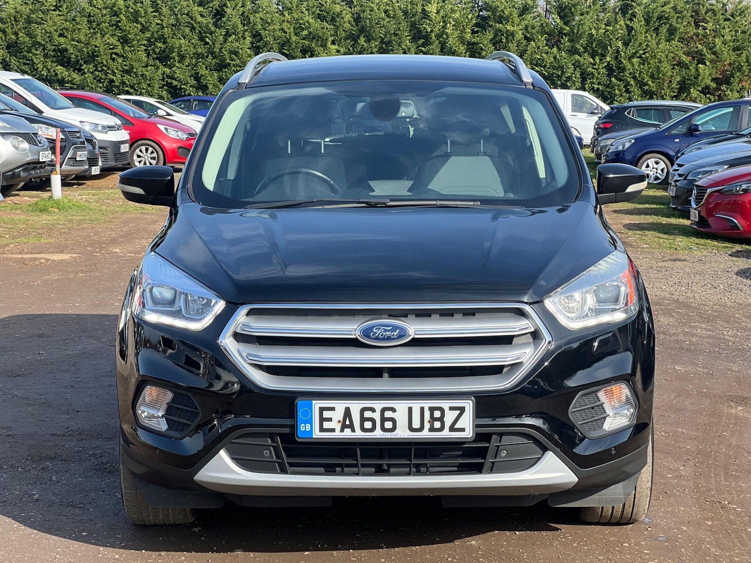 Used Ford Kuga 2016 for sale - 77710161: Photo 3