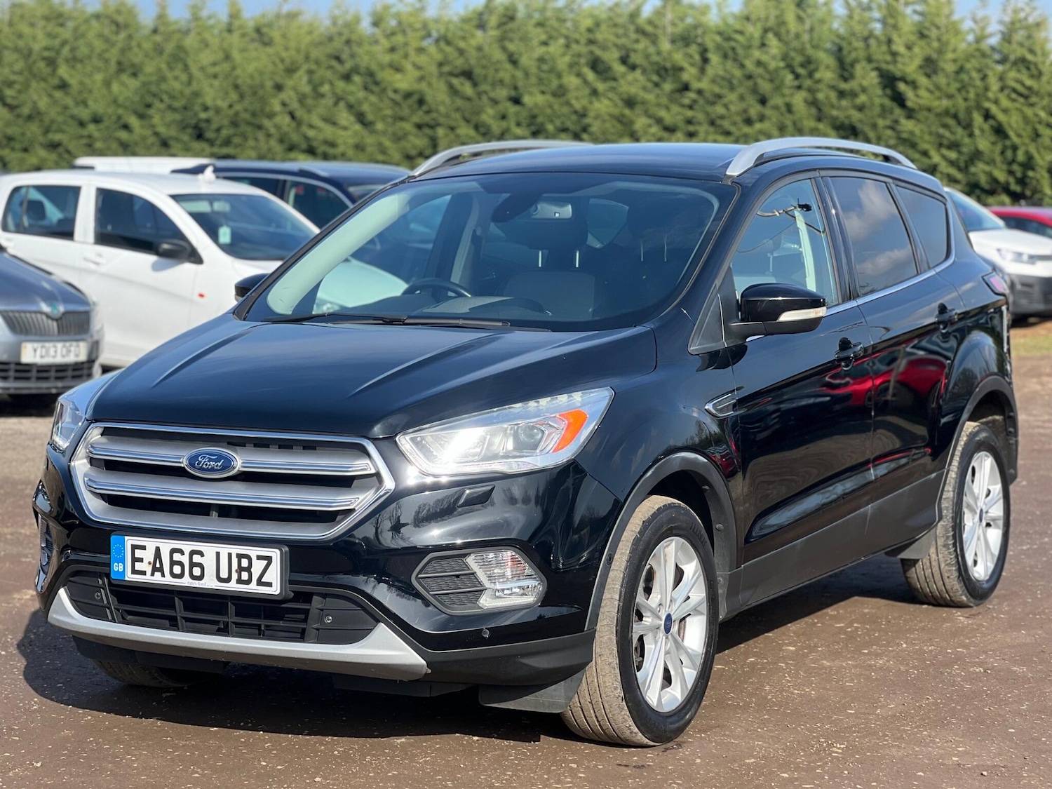 Used Ford Kuga 2016 for sale - 77710161: Photo 5