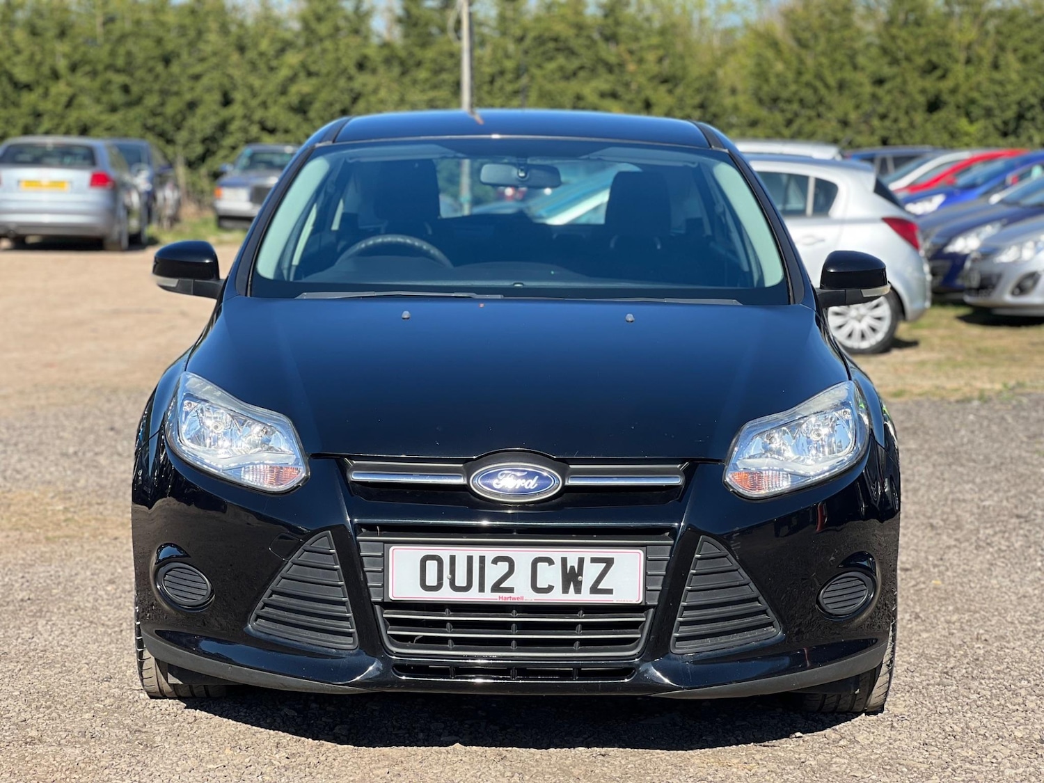 Used Ford Focus 2012 for sale - 77455493: Photo 5