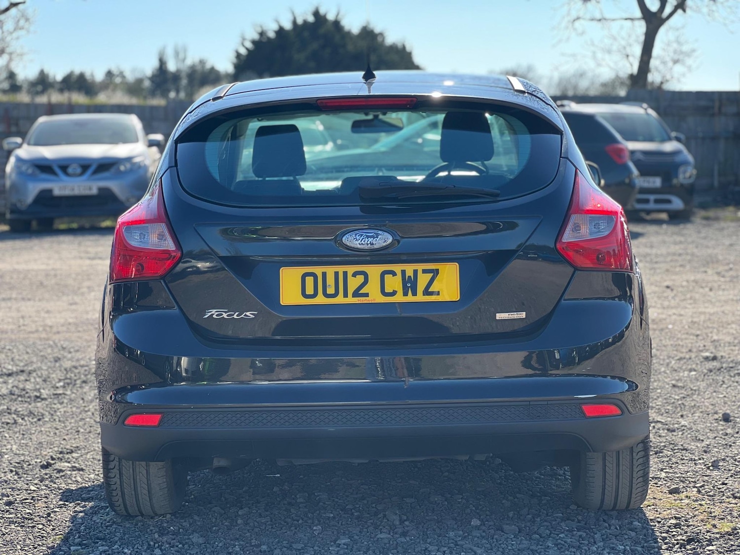 Used Ford Focus 2012 for sale - 77455493: Photo 6