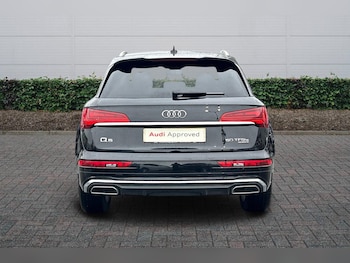 Used Audi Q5 2024 for sale - 77427446: Photo