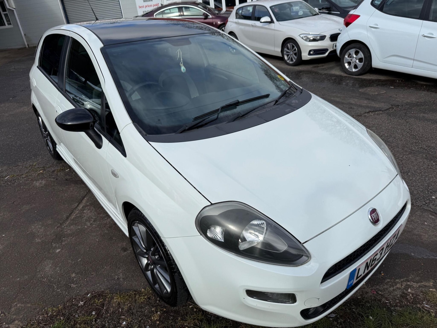 Used Fiat Punto for sale - 78011873: Photo 13