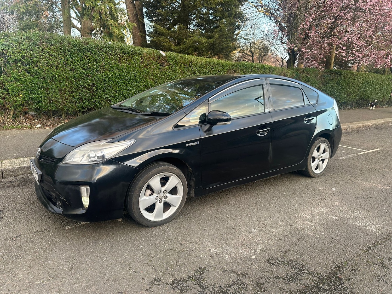 Used Toyota Prius 2014 for sale - 77841242: Photo 3