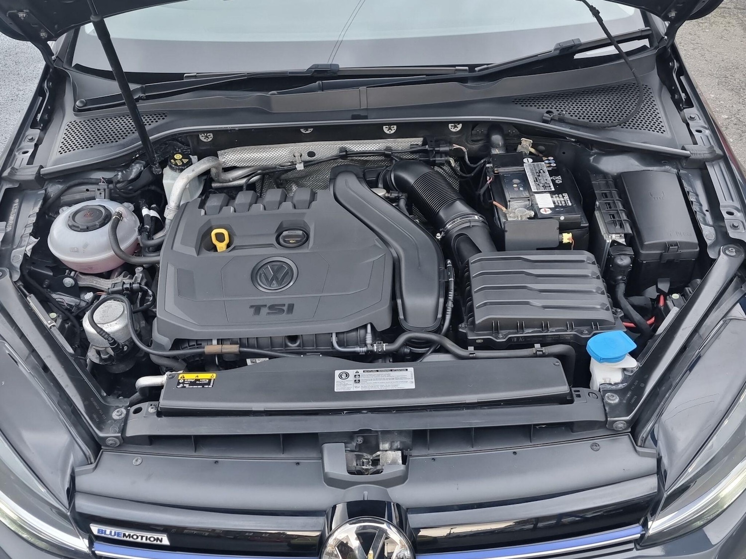 Used Volkswagen Golf for sale - 78128066: Photo 67