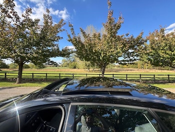 Used SEAT Leon 2018 for sale - 77445703: Photo