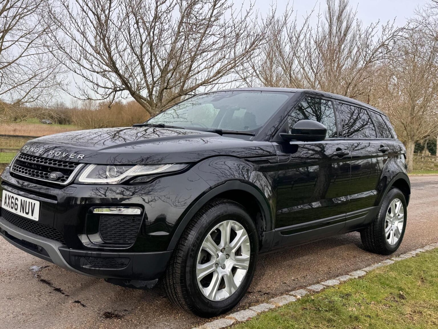 Used Land Rover Range Rover Evoque 2017 for sale - 77541630: Photo 11