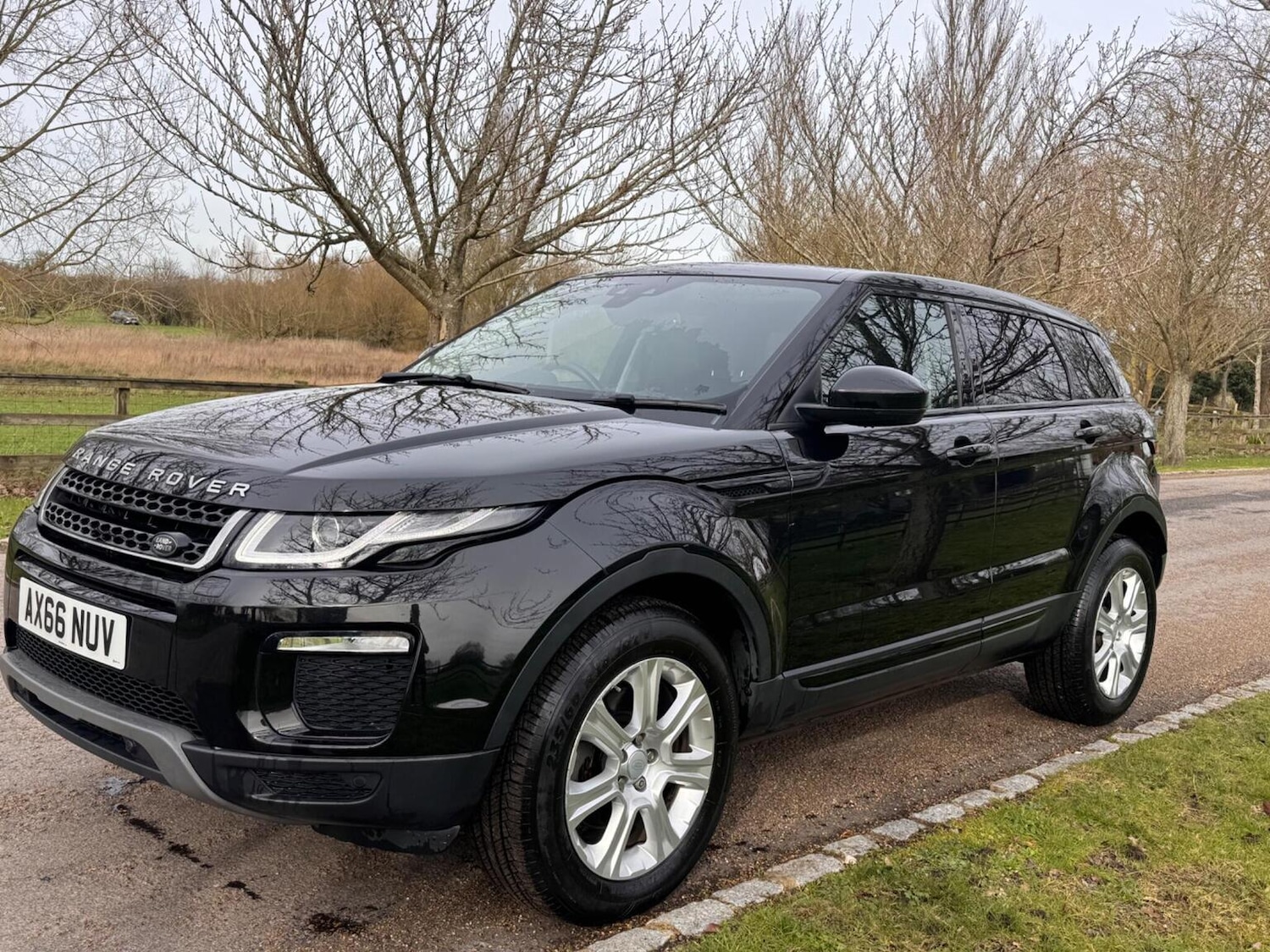 Used Land Rover Range Rover Evoque 2017 for sale - 77541630: Photo 16