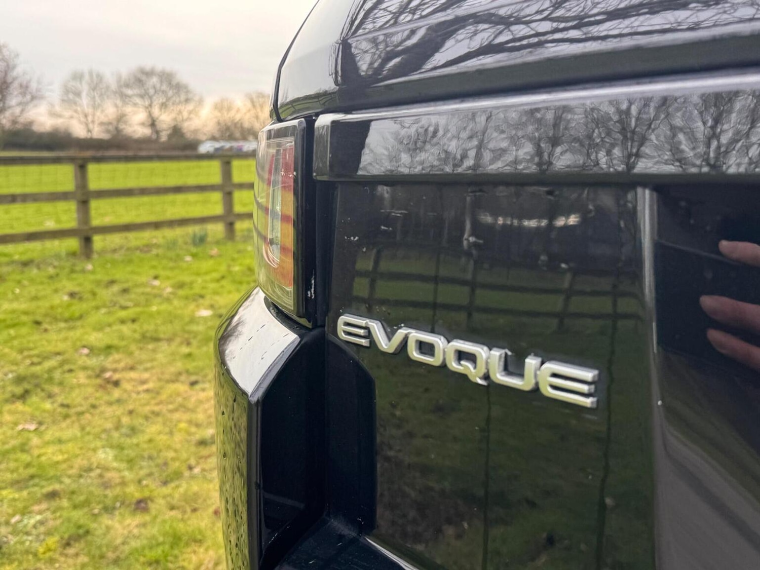 Used Land Rover Range Rover Evoque 2017 for sale - 77541630: Photo 4