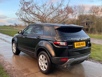 Used Land Rover Range Rover Evoque 2017 for sale - 77541630: Photo