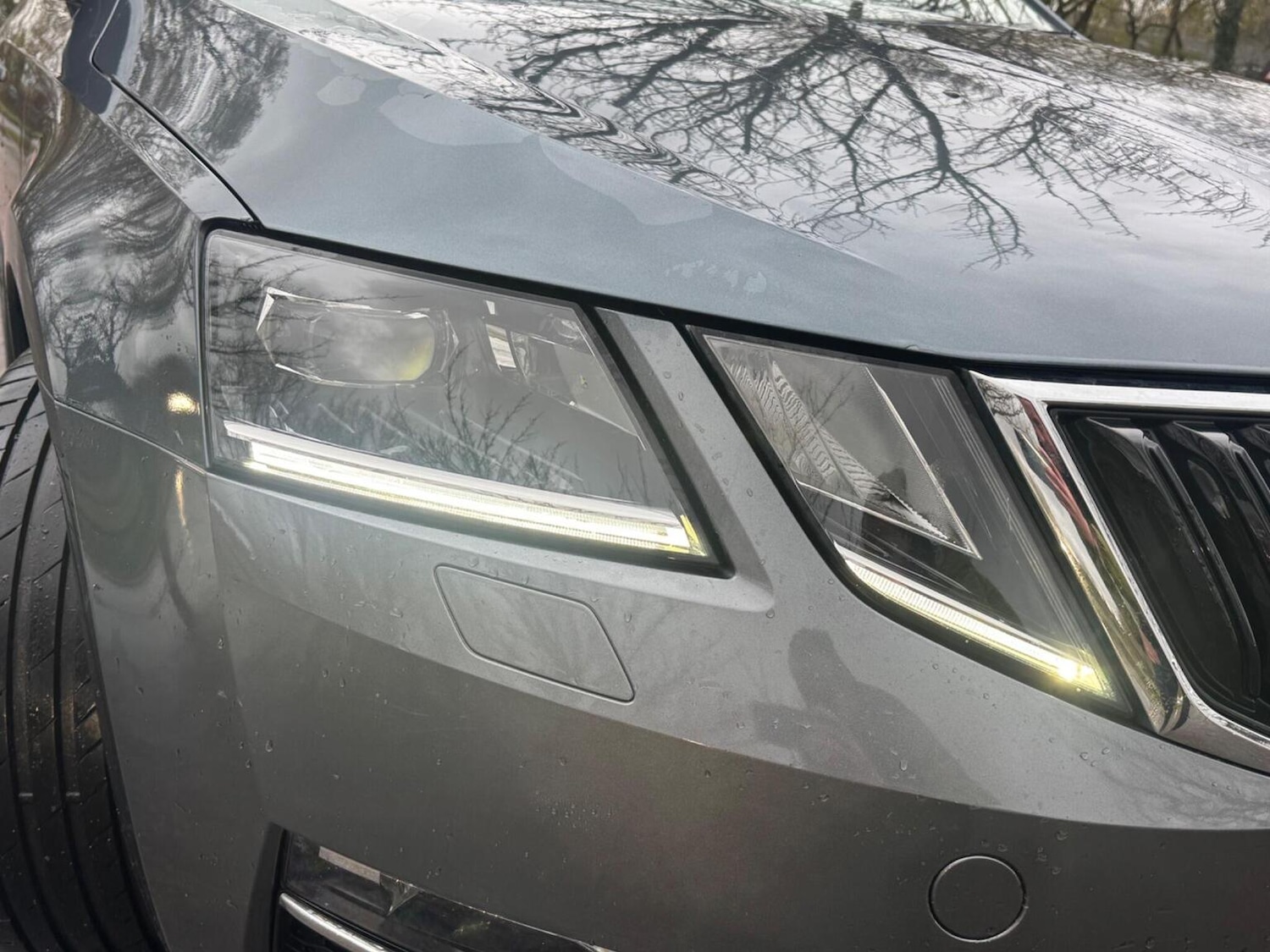 Used Skoda Octavia 2017 for sale - 77445700: Photo 34