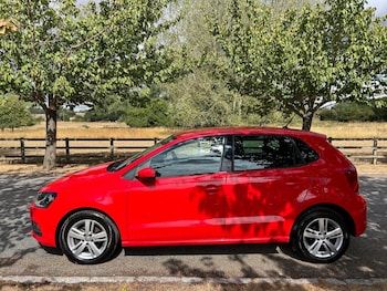 Used Volkswagen Polo 2016 for sale - 79524699: Photo