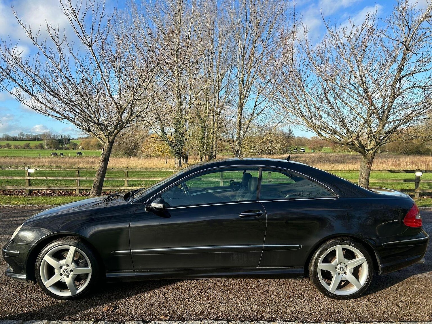 Used Mercedes-Benz CLK 2009 for sale - 77445689: Photo 14
