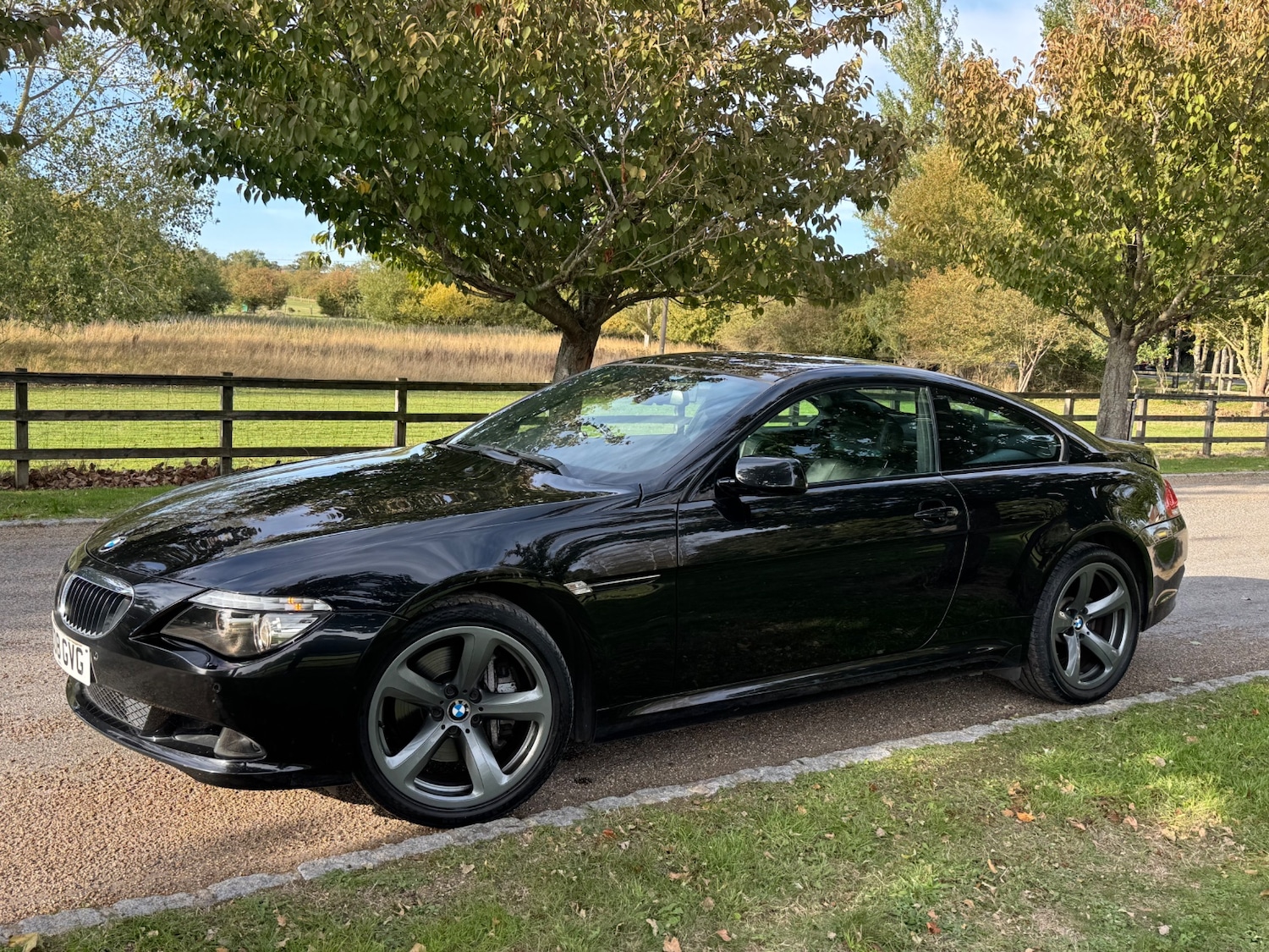 Used BMW 6 Series 2008 for sale - 76000480: Photo 20