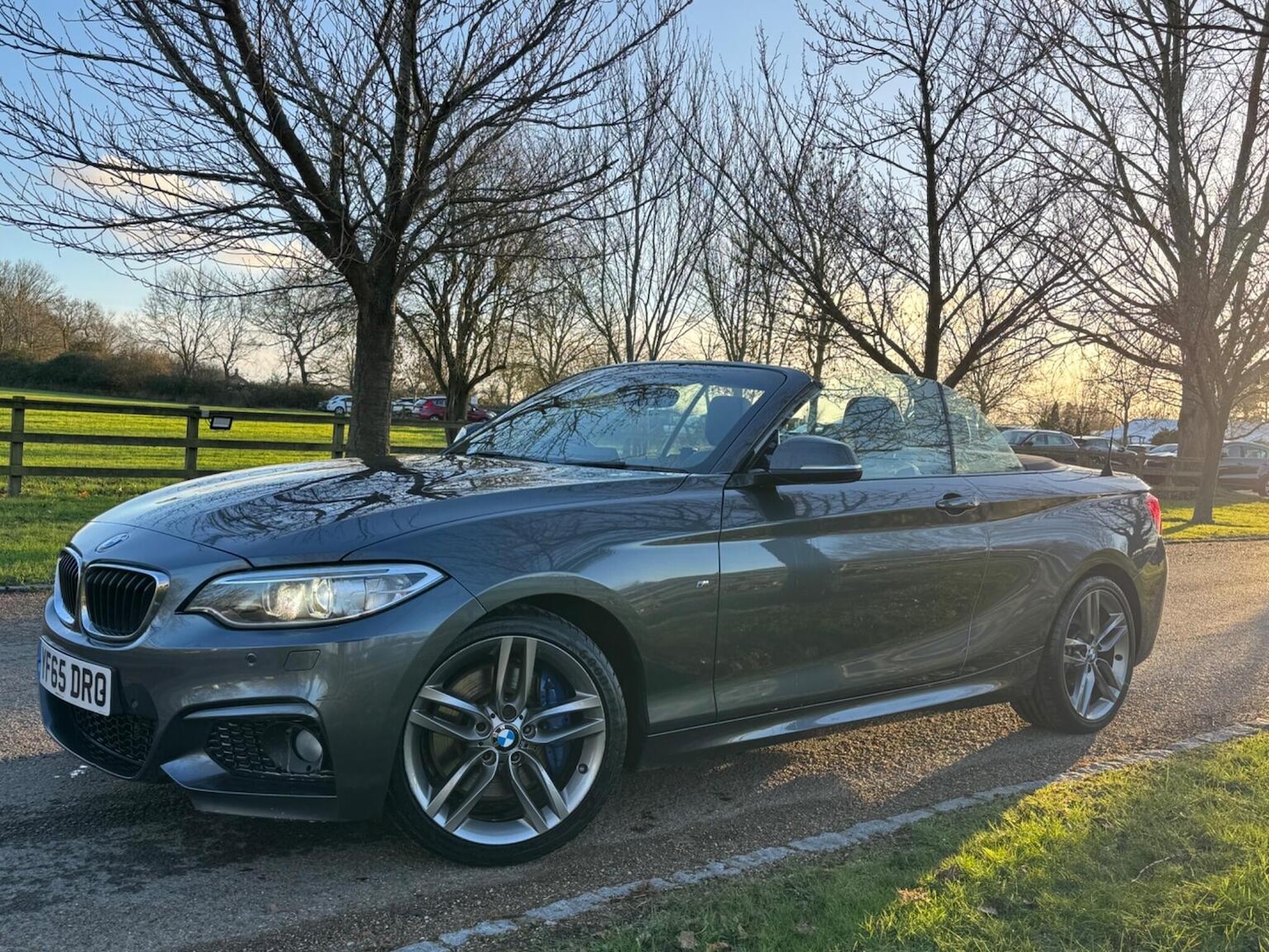 Used BMW 2 Series 2016 for sale - 77445683: Photo 4