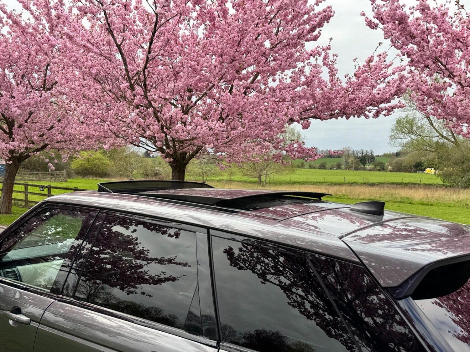 Used Land Rover Range Rover Sport 2018 for sale - 78105924: Photo 10