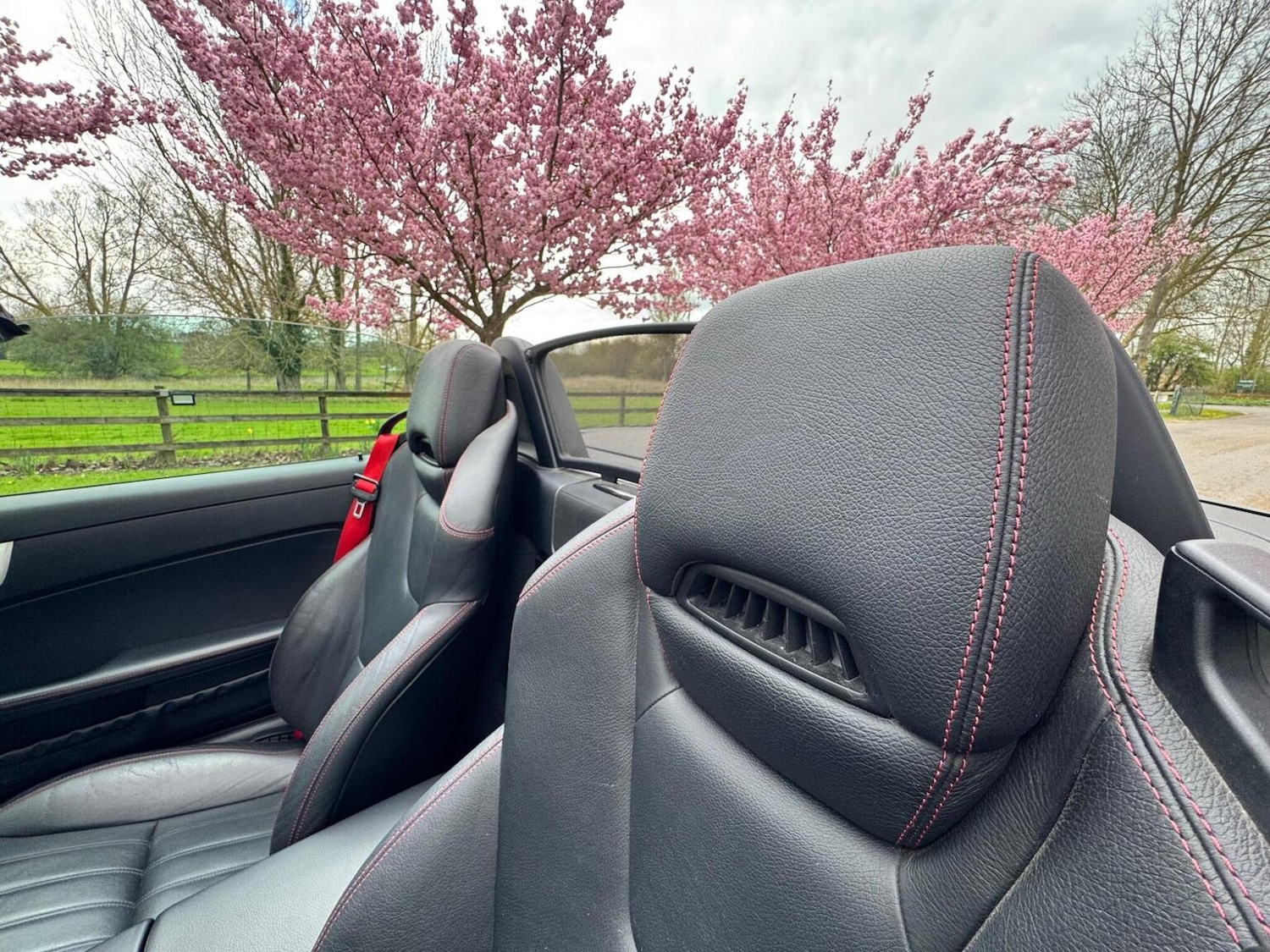 Used Mercedes-Benz SLK 2011 for sale - 77649538: Photo 10