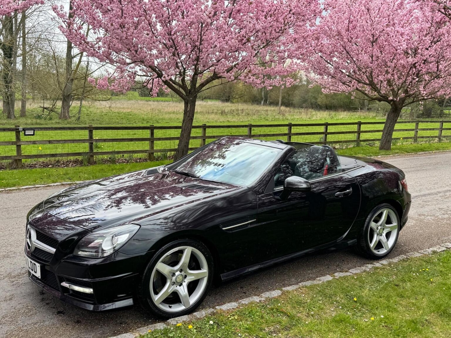 Used Mercedes-Benz SLK 2011 for sale - 77649538: Photo 12