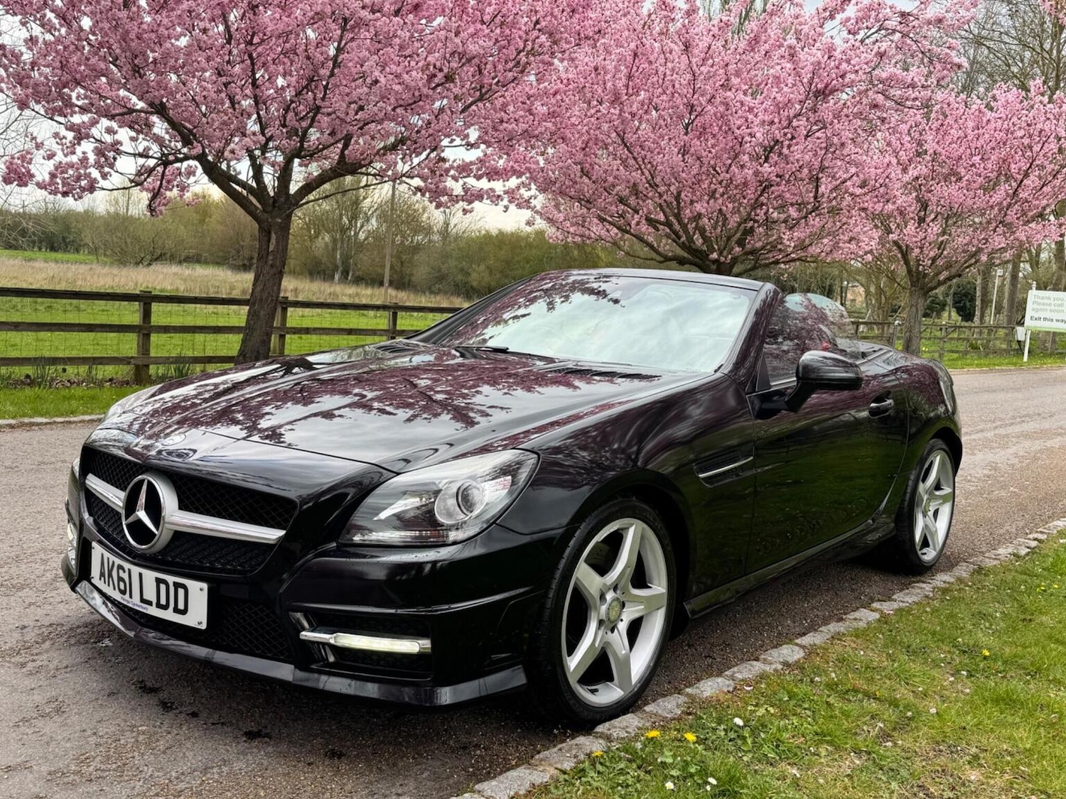 Used Mercedes-Benz SLK 2011 for sale - 77649538: Photo 13
