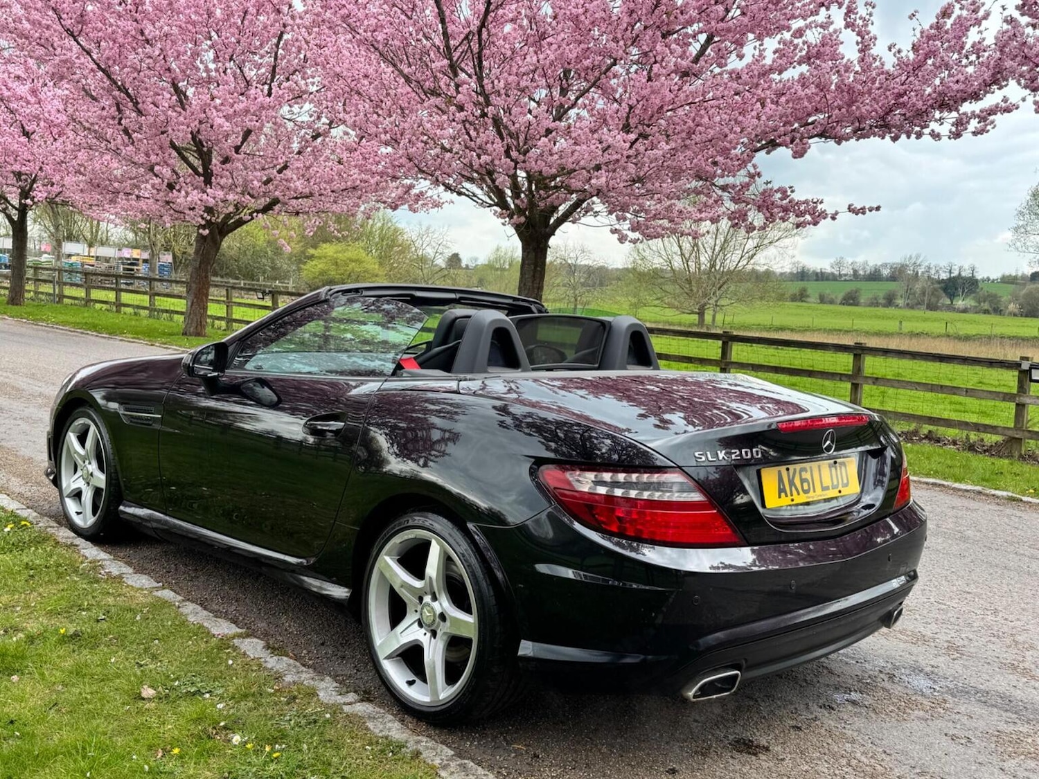 Used Mercedes-Benz SLK 2011 for sale - 77649538: Photo 15