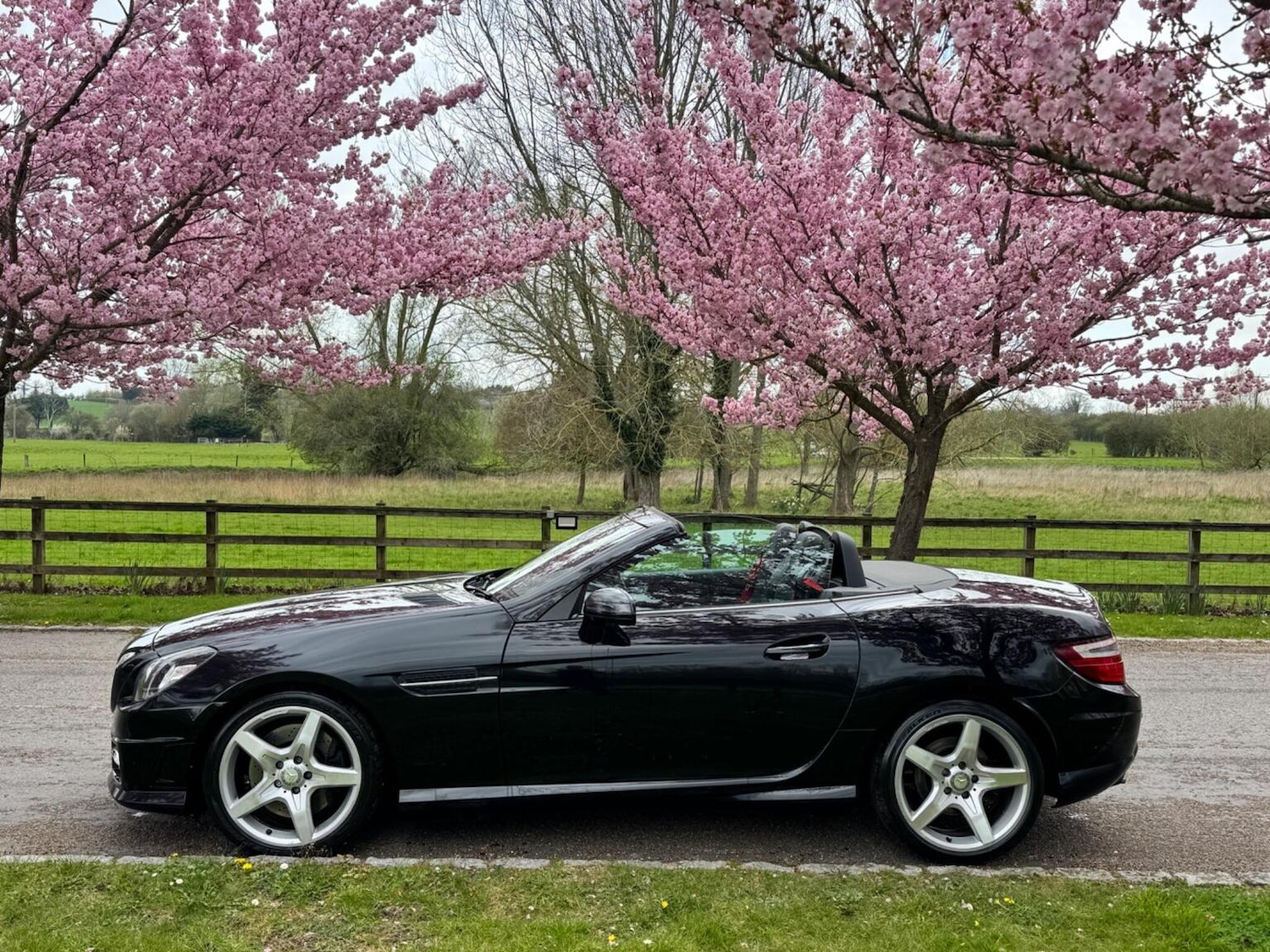 Used Mercedes-Benz SLK 2011 for sale - 77649538: Photo 16