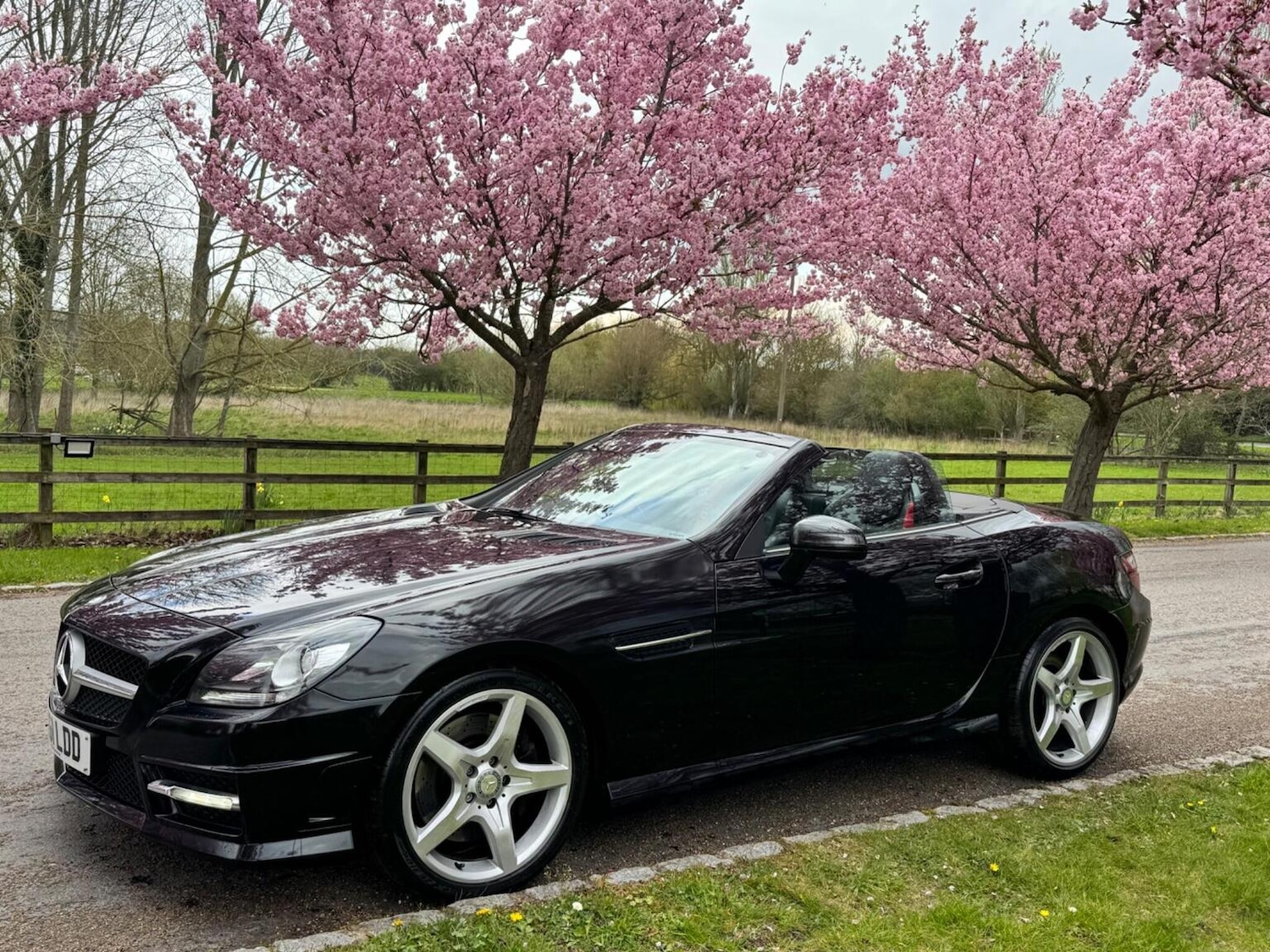 Used Mercedes-Benz SLK 2011 for sale - 77649538: Photo 17