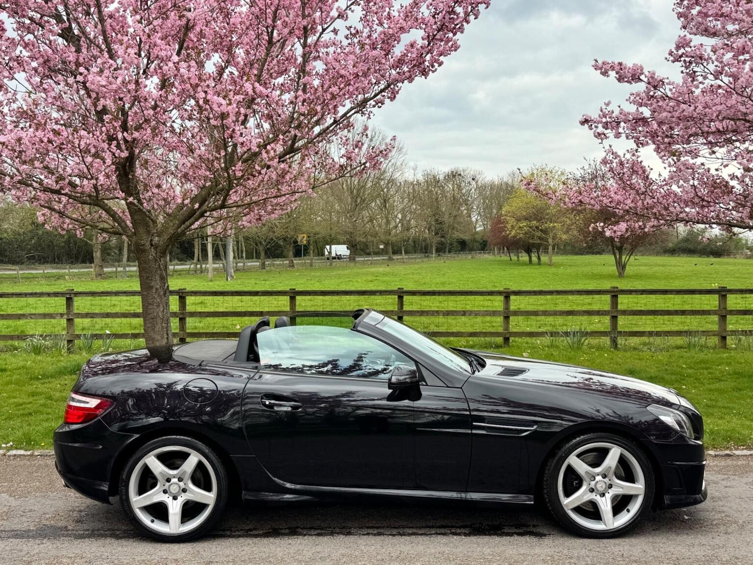 Used Mercedes-Benz SLK 2011 for sale - 77649538: Photo 21
