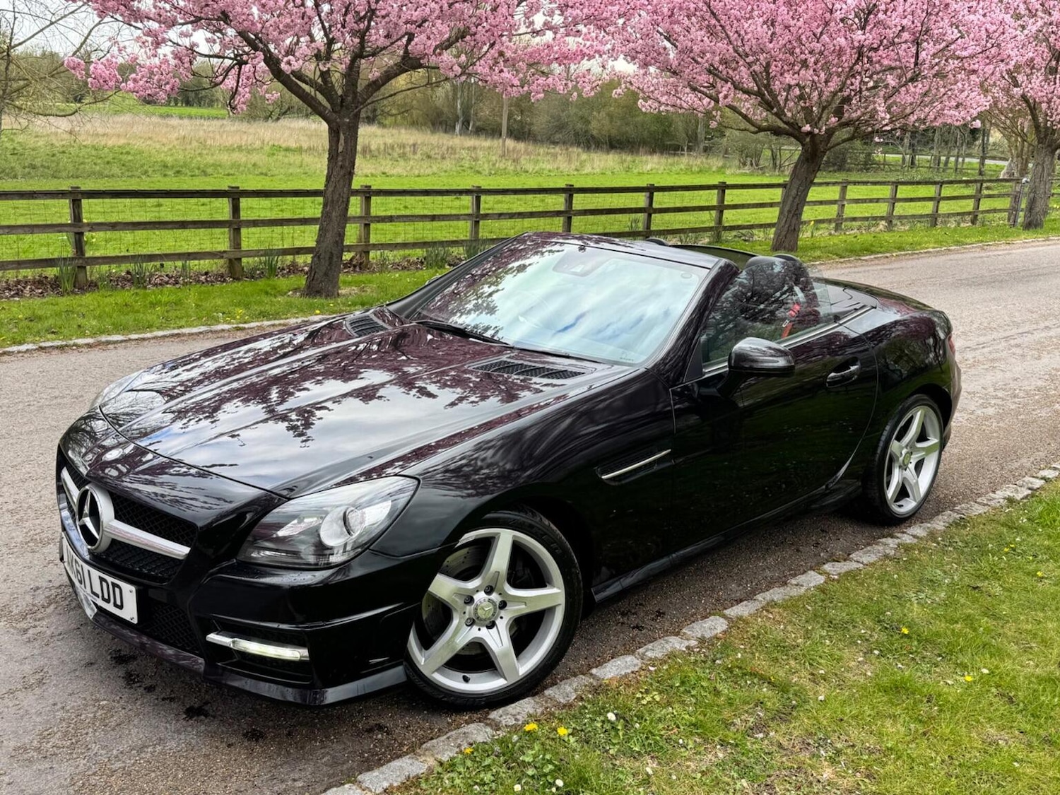 Used Mercedes-Benz SLK 2011 for sale - 77649538: Photo 6