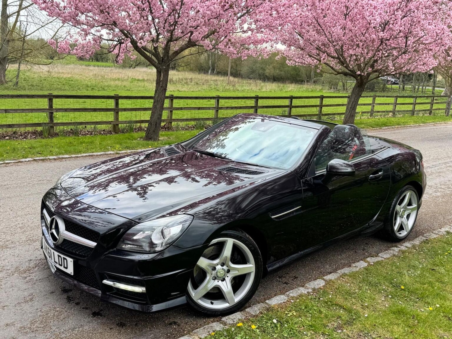 Used Mercedes-Benz SLK 2011 for sale - 77649538: Photo 7