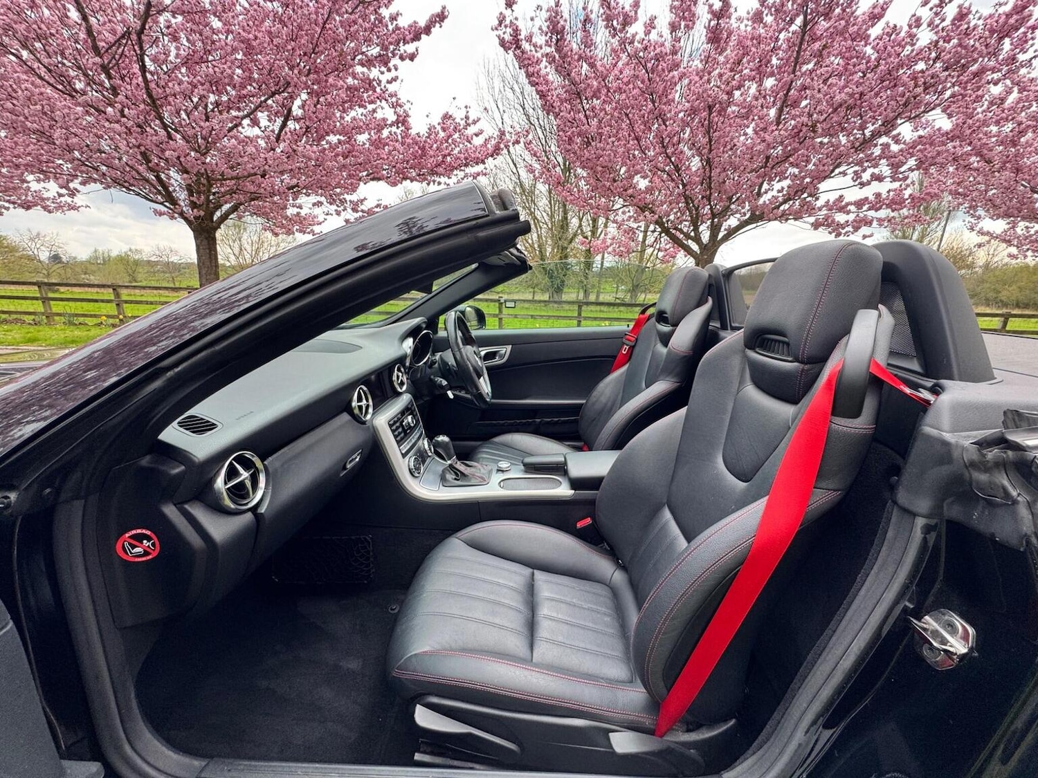 Used Mercedes-Benz SLK 2011 for sale - 77649538: Photo 9