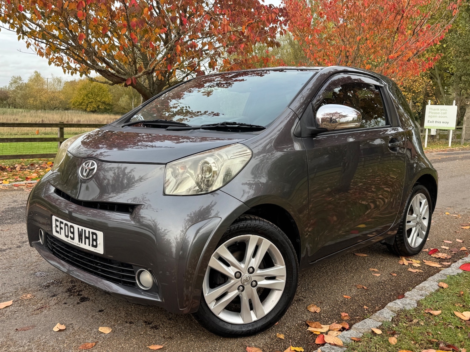 Used Toyota IQ 2009 for sale - 76413904: Photo 1