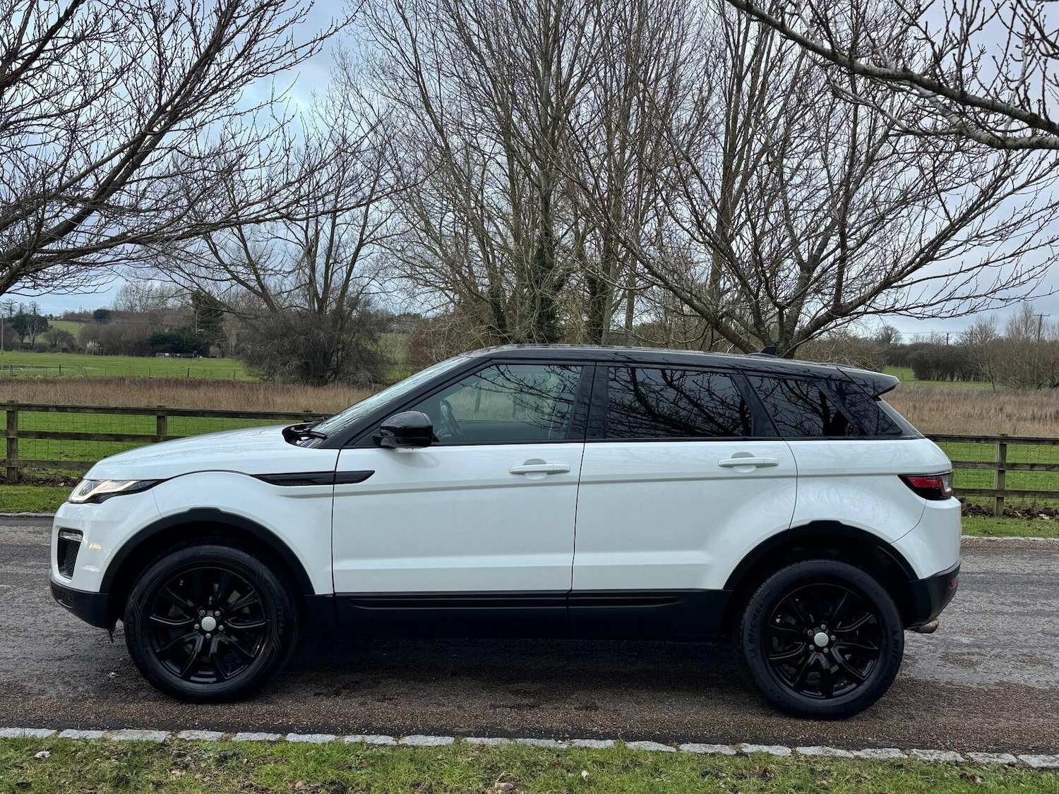 Used Land Rover Range Rover Evoque 2015 for sale - 77445674: Photo 3