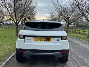 Used Land Rover Range Rover Evoque 2015 for sale - 77445674: Photo