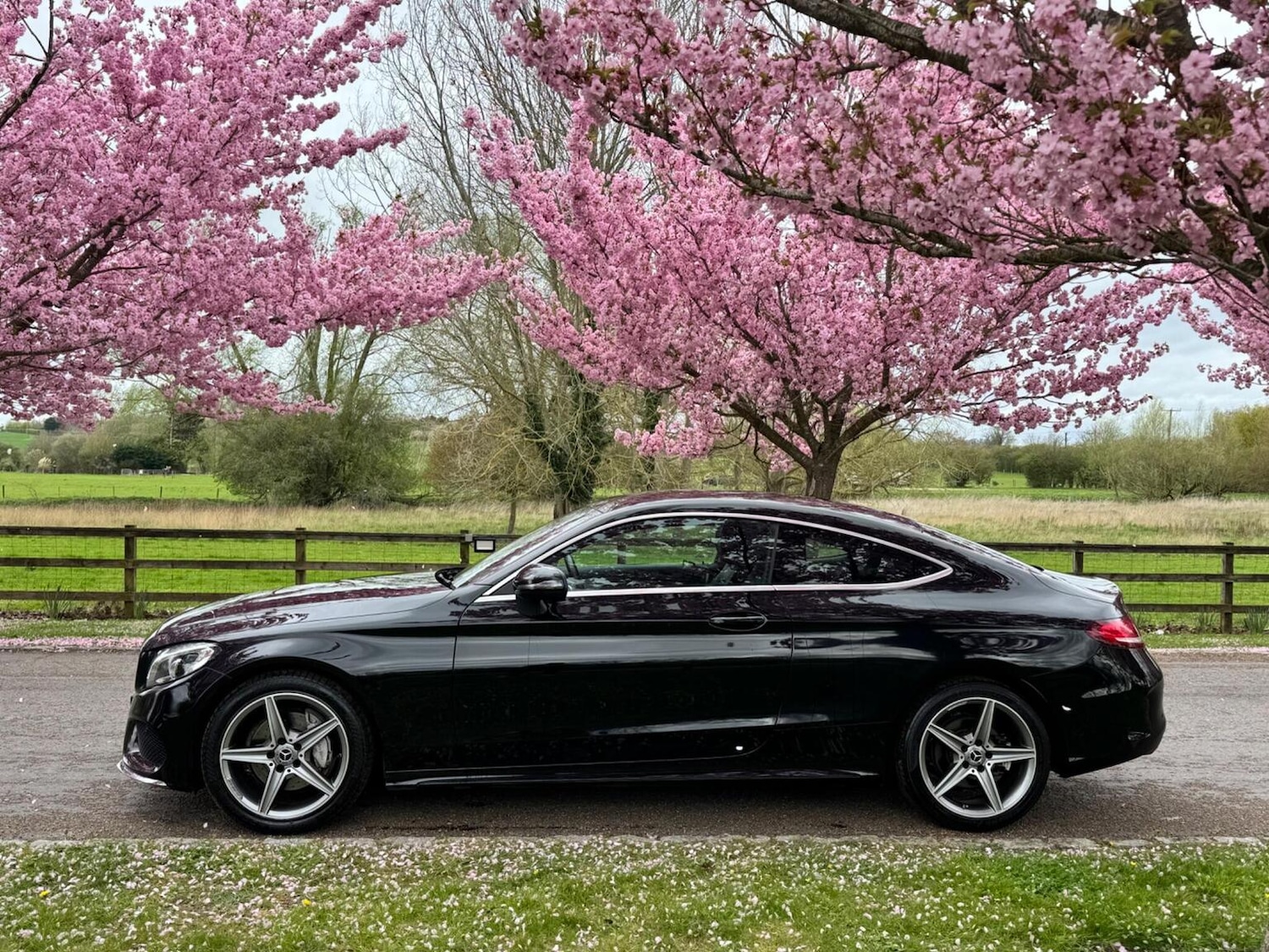 Used Mercedes-Benz C Class 2017 for sale - 78125191: Photo 10