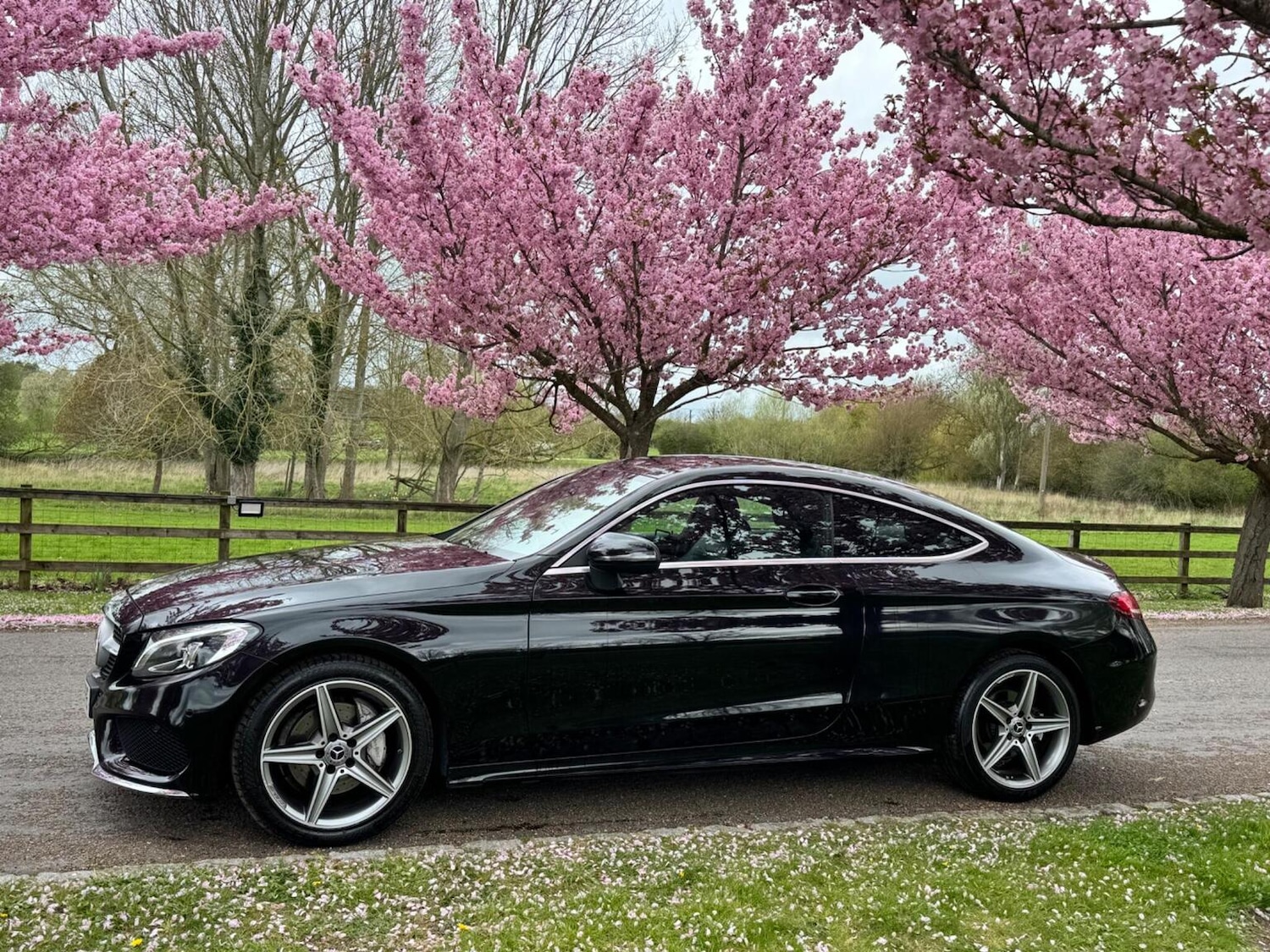 Used Mercedes-Benz C Class 2017 for sale - 78125191: Photo 11