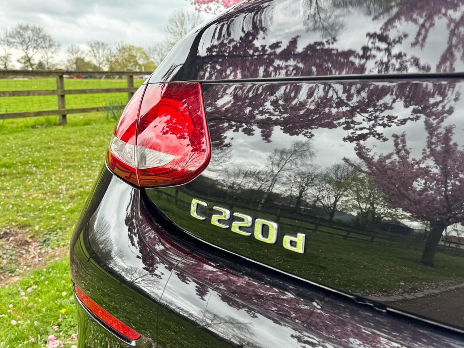 Used Mercedes-Benz C Class 2017 for sale - 78125191: Photo 31