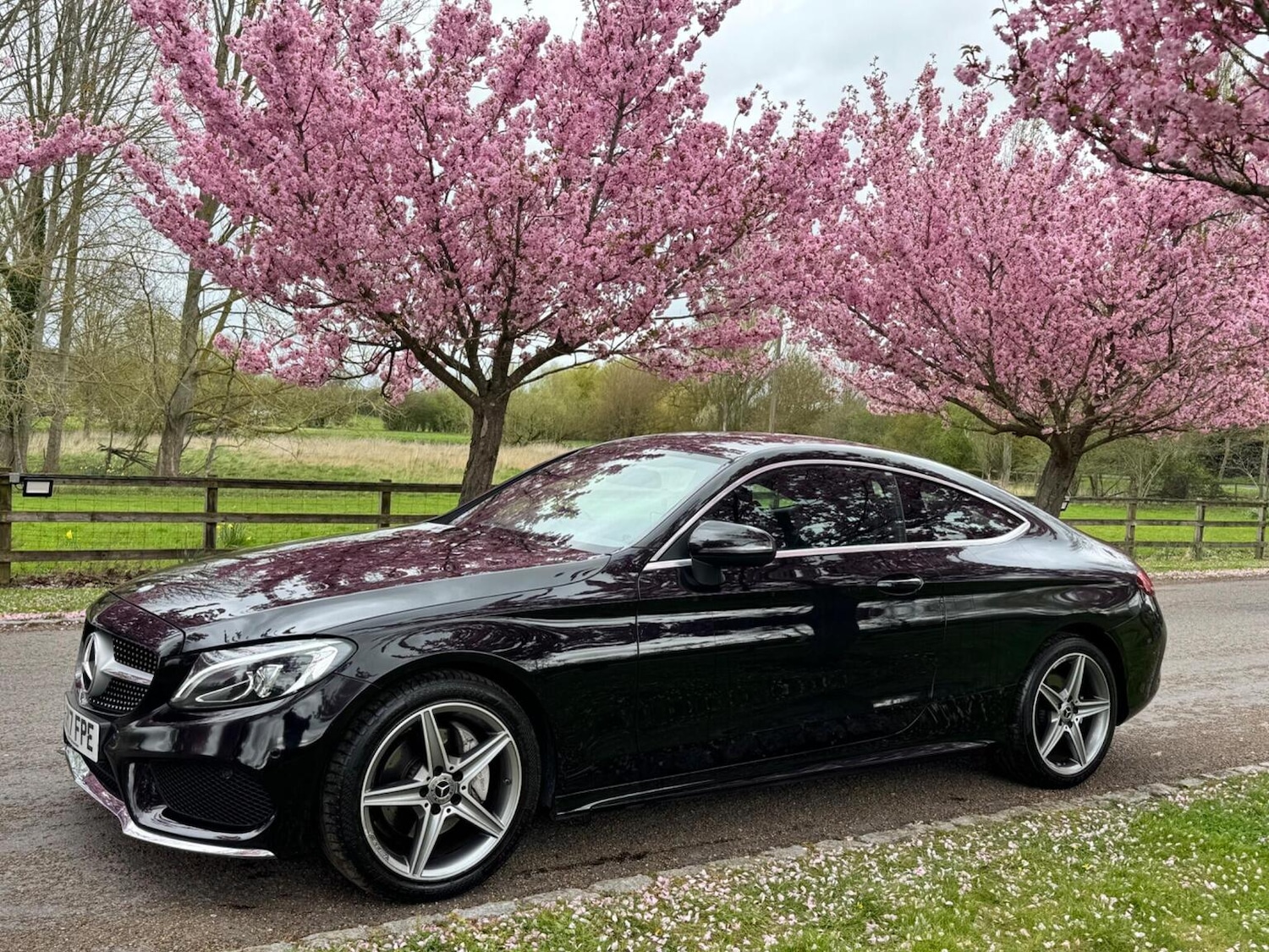 Used Mercedes-Benz C Class 2017 for sale - 78125191: Photo 33