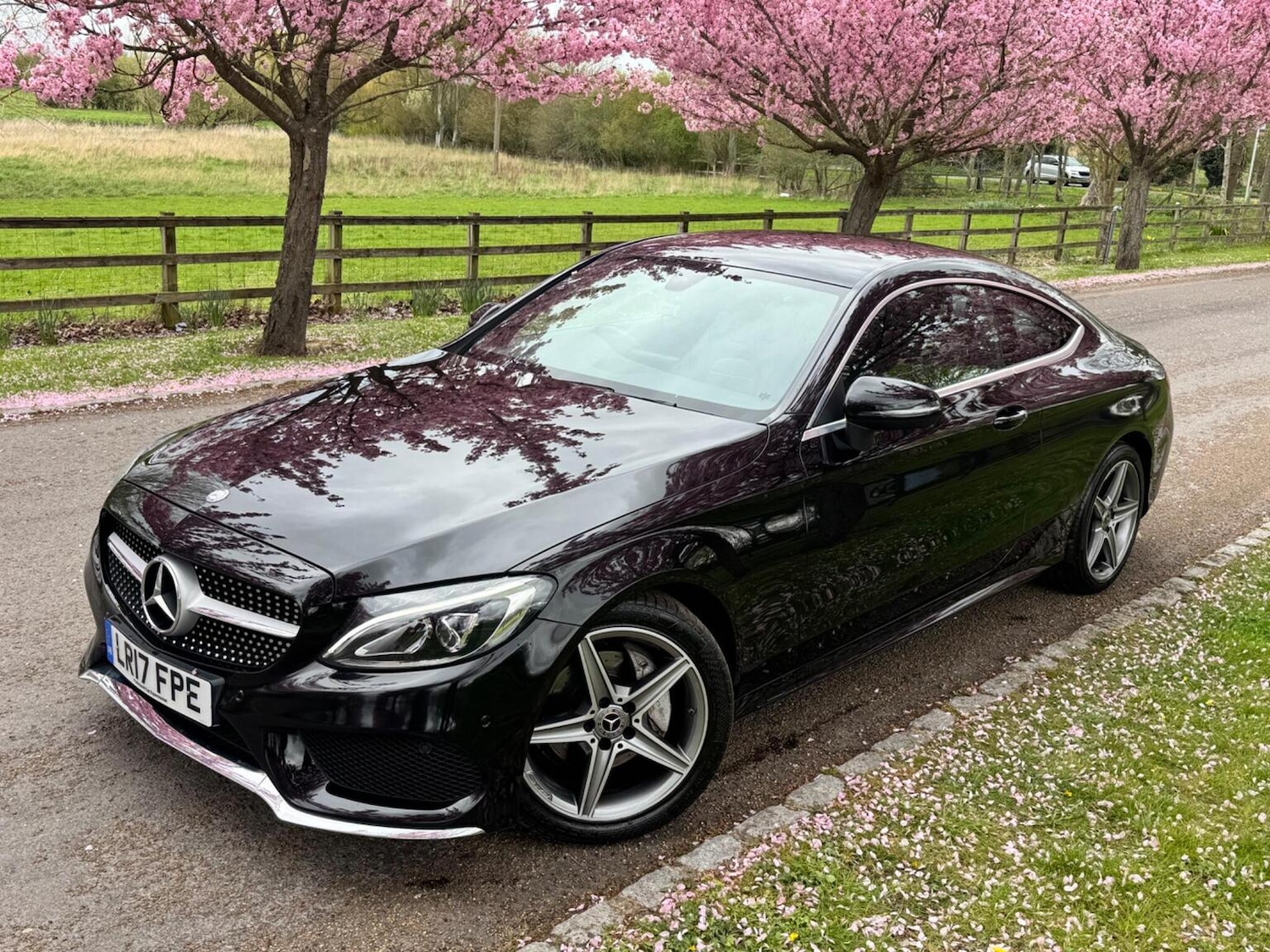 Used Mercedes-Benz C Class 2017 for sale - 78125191: Photo 5