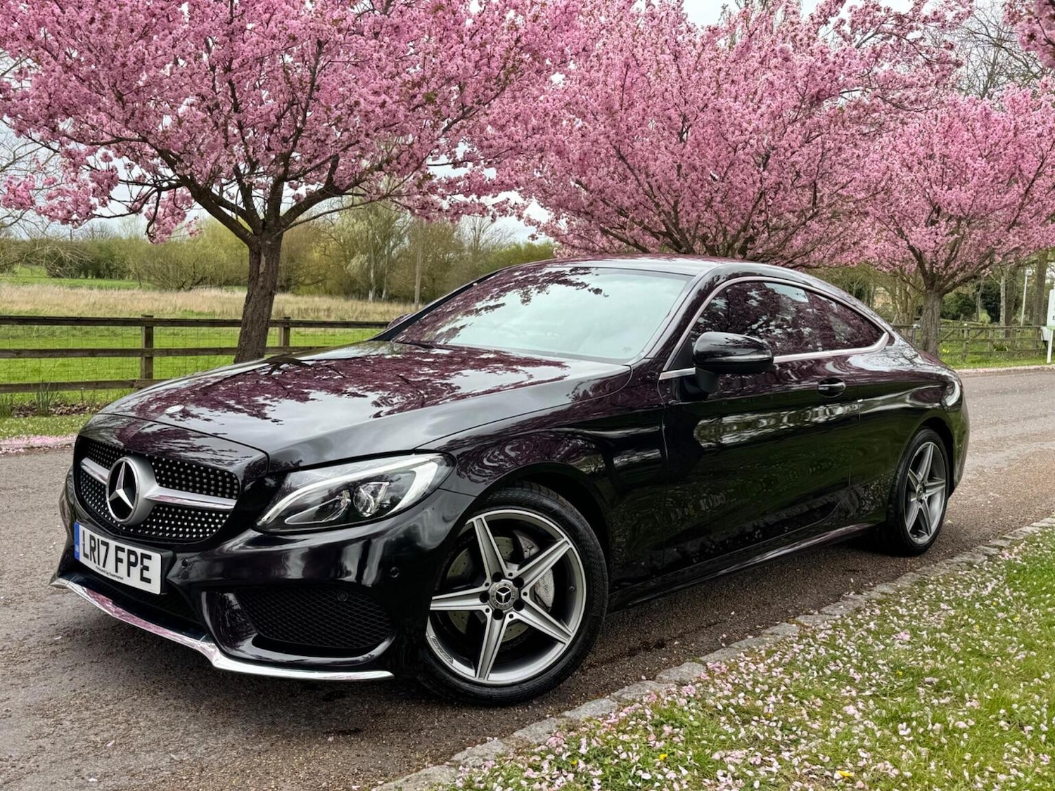 Used Mercedes-Benz C Class 2017 for sale - 78125191: Photo 6