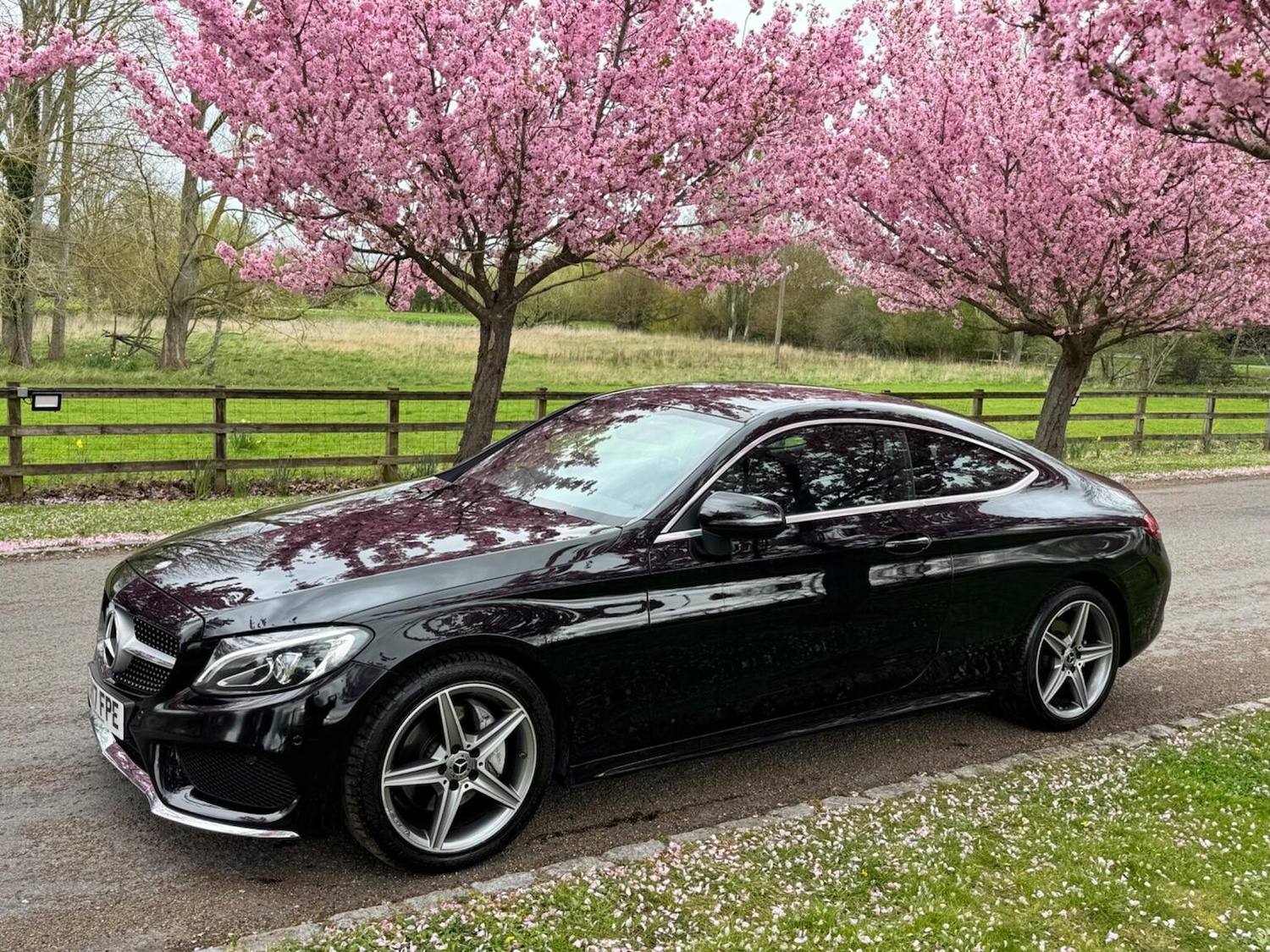 Used Mercedes-Benz C Class 2017 for sale - 78125191: Photo 7