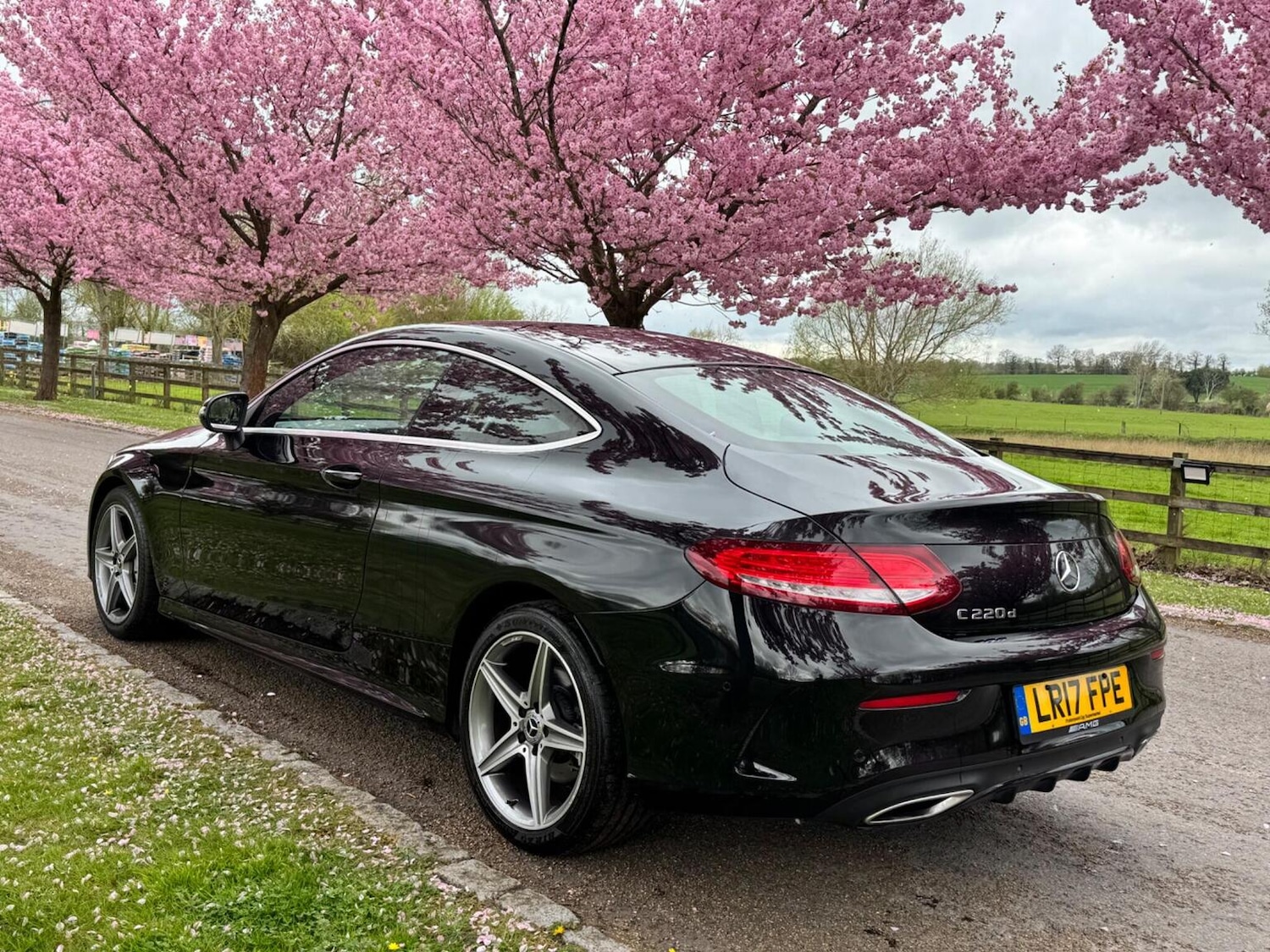 Used Mercedes-Benz C Class 2017 for sale - 78125191: Photo 8